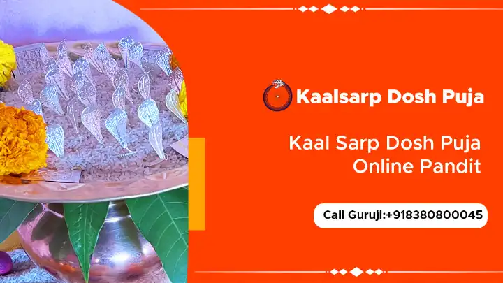 Kaal Sarp Dosh Puja Online Pandit