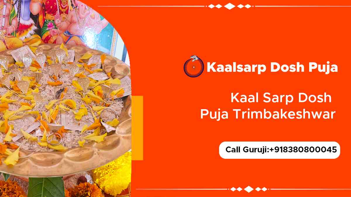 Kaal Sarp Dosh Puja Trimbakeshwar 