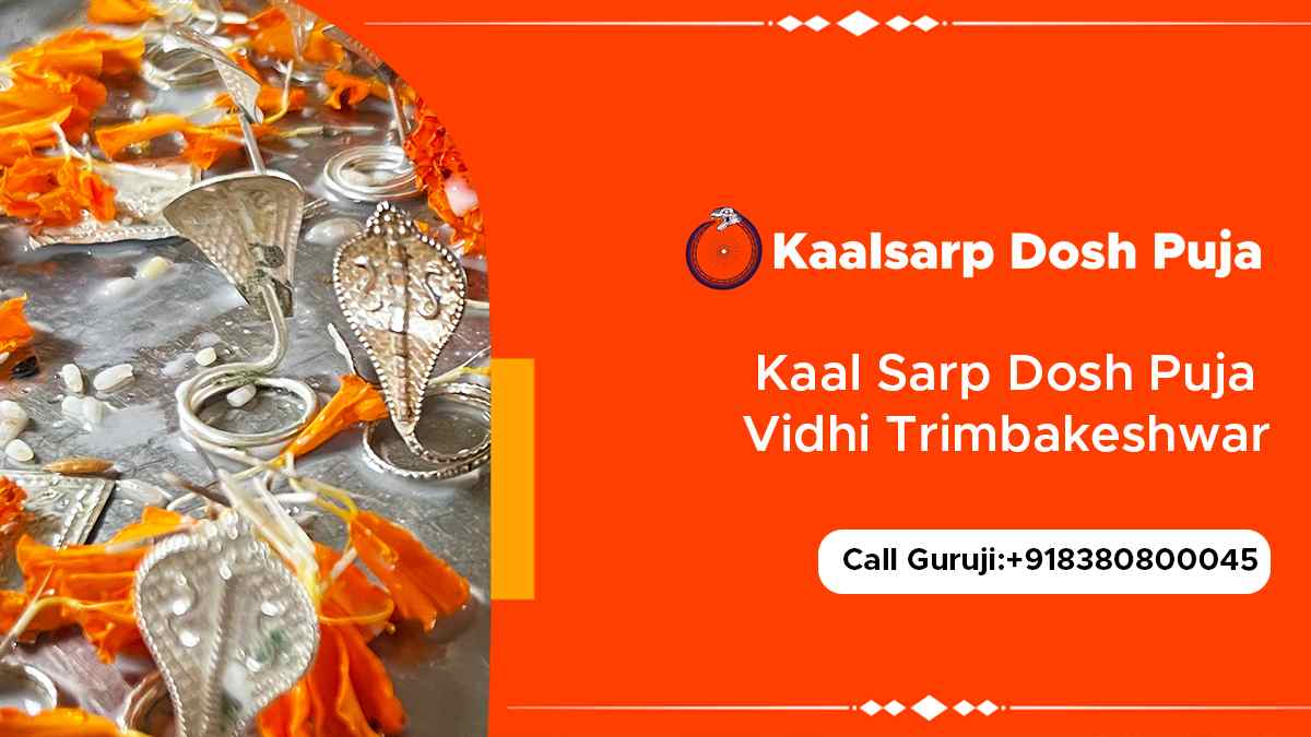 Kaal Sarp Dosh Puja Vidhi Trimbakeshwar