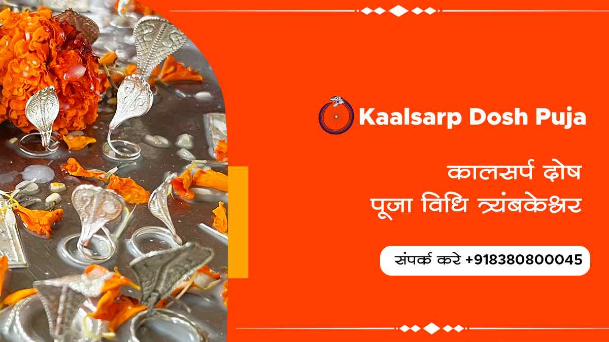 कालसर्प दोष पूजा विधि त्र्यंबकेश्वर